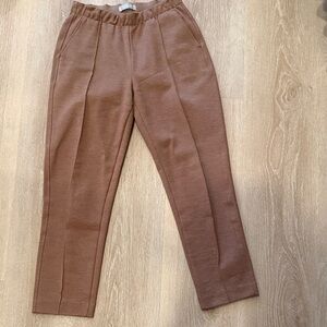 Everlane Women's Brown Ankle Pants